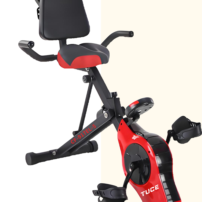 Exercise Bike TC-CF-917EL-5