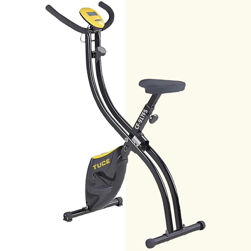 EXERCISE BIKE TC-CF-917FS